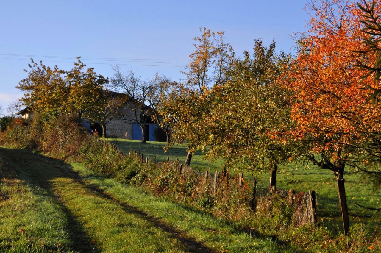 Bed and Breakfast Terres De La Grange à Cuisiat Extérieur photo